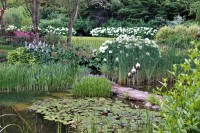 /album/fotogalerie1/garten-08-07-2018-6-jpg/